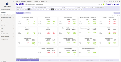 EP&I 2.0 (Enterprise Performance & Insights)