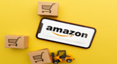 Amazon Masterclass E-Learning (Advanced)